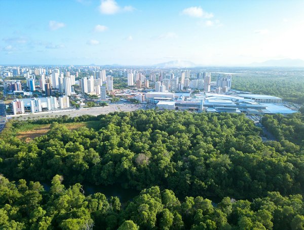 Quelles innovations révolutionnent le secteur des énergies renouvelables ?