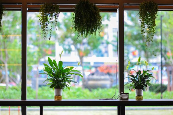 Optimiser l'efficacité énergétique pour un avenir plus durable